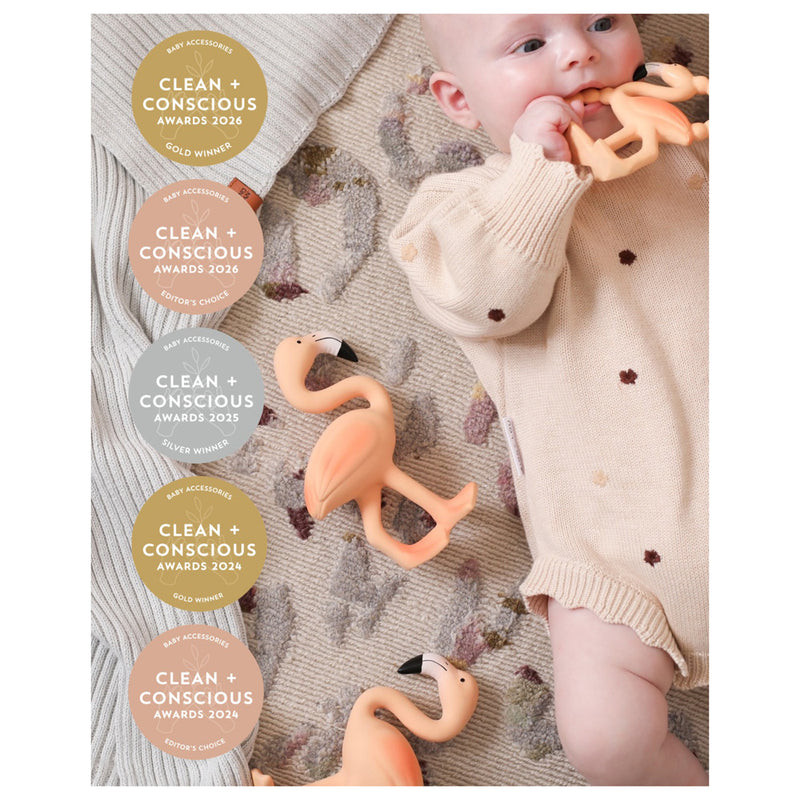 Lingo The Flamingo Teether