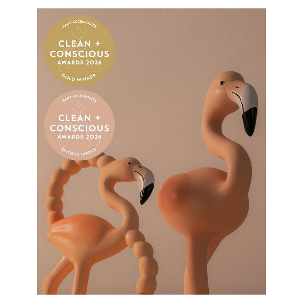 Lingo The Flamingo Mini Teether