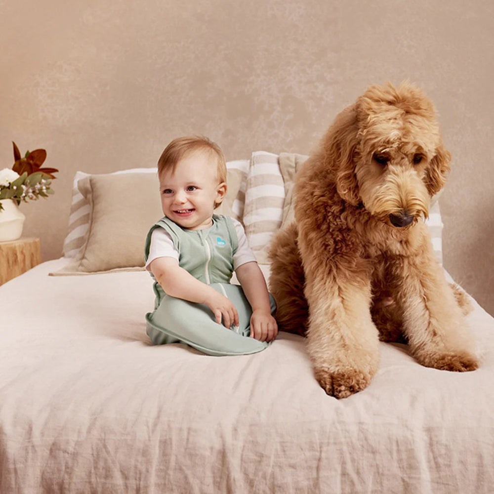 Love To Dream Swaddle Up Transition Bag 0.2T Stretch Cotton Olive