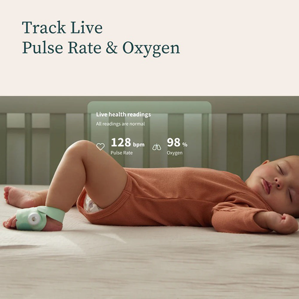 Owlet Dream Sock Smart Baby Monitor