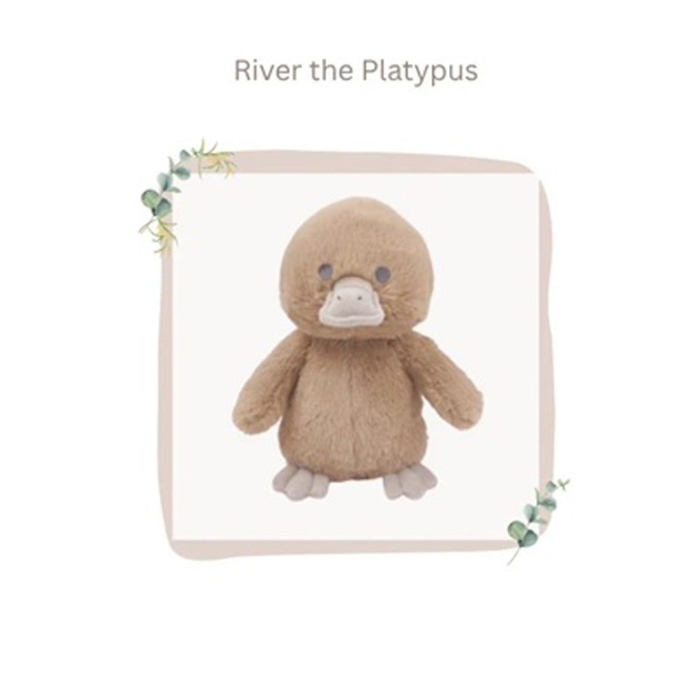 Petite Vous River the Platypus