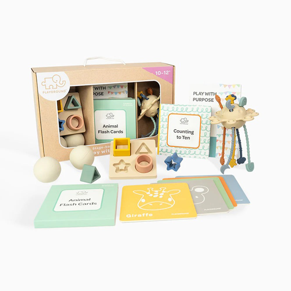 Playground Plus Learning Box Play with Purpose 10-12M