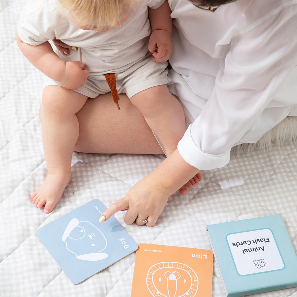 Playground Plus Learning Box Play with Purpose 10-12M