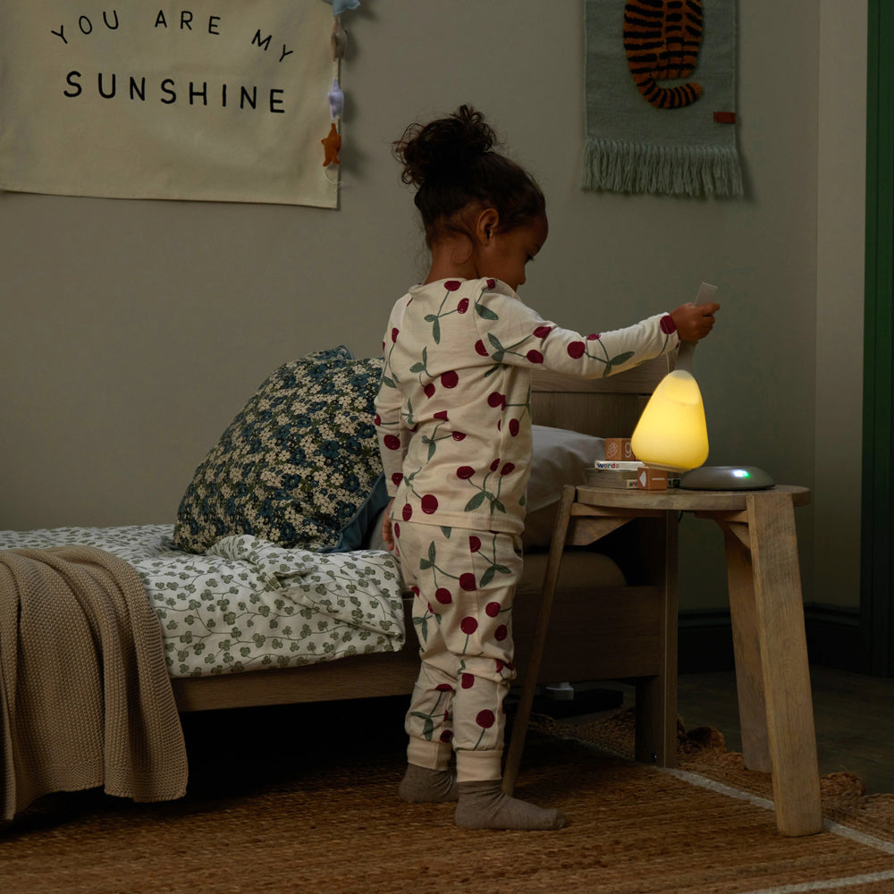 Shnuggle Moonlight Plus