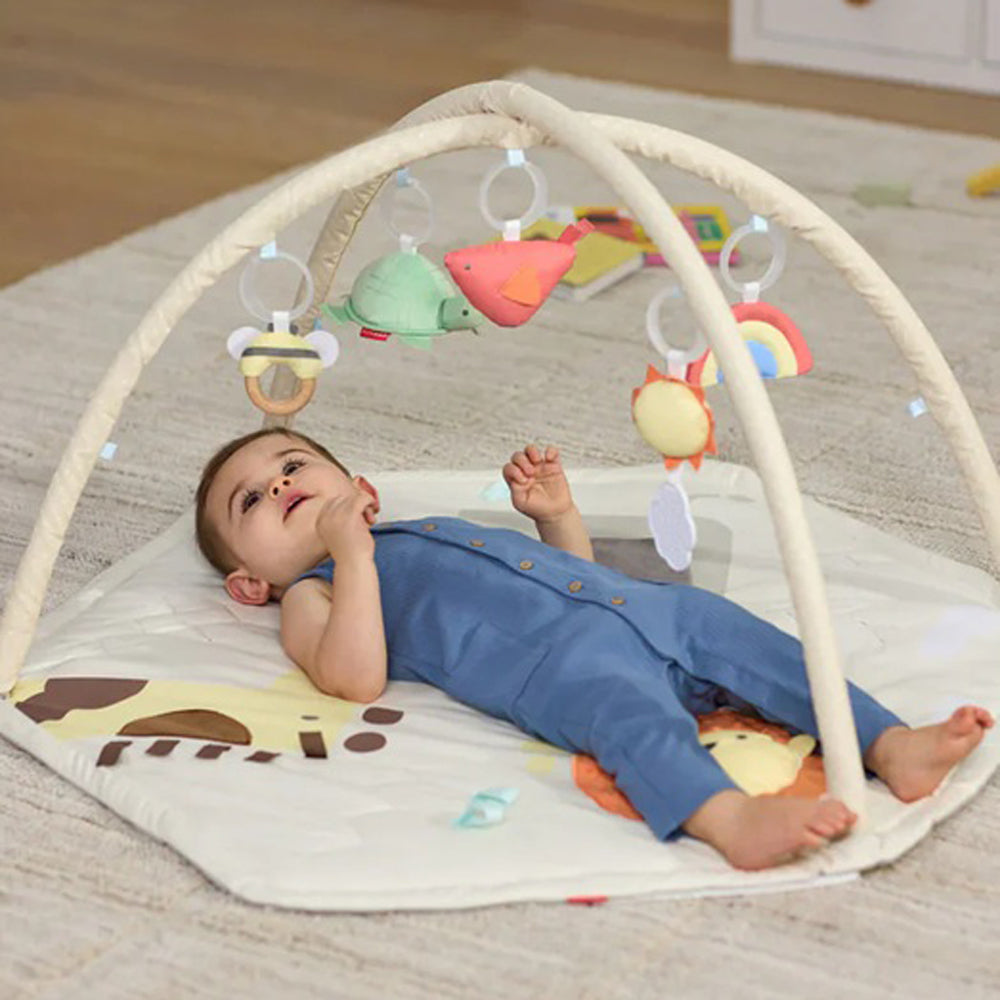 Skip Hop Geometric Wonders Activity Gym