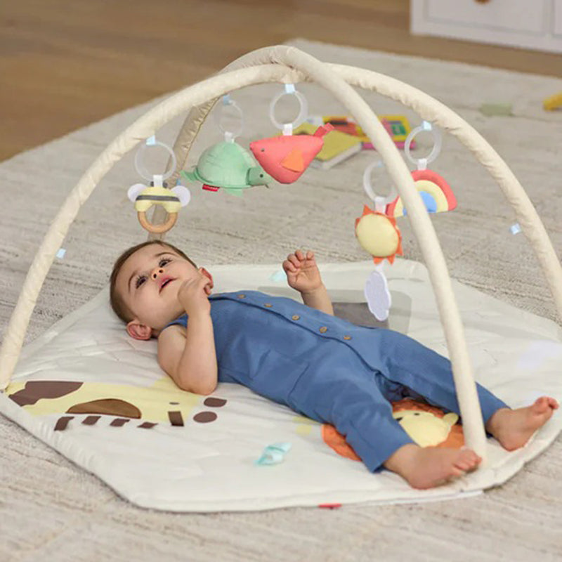 Skip Hop Geometric Wonders Activity Gym