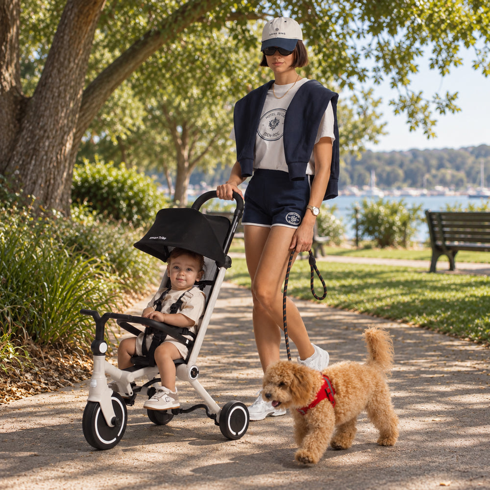 SmarTrike Wonder Trike