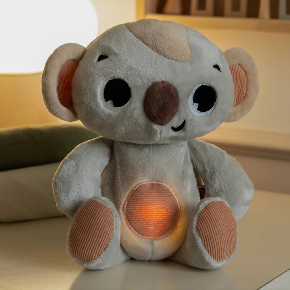 Tiny Love Snuggly Buddy Koala
