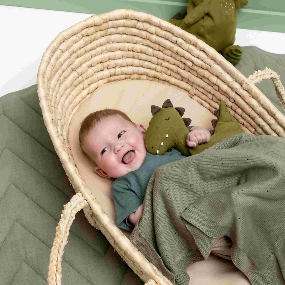 Trixie Plush Toy Small Mr Dino