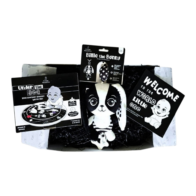 Young Wonderer Hello Little One Gift Set