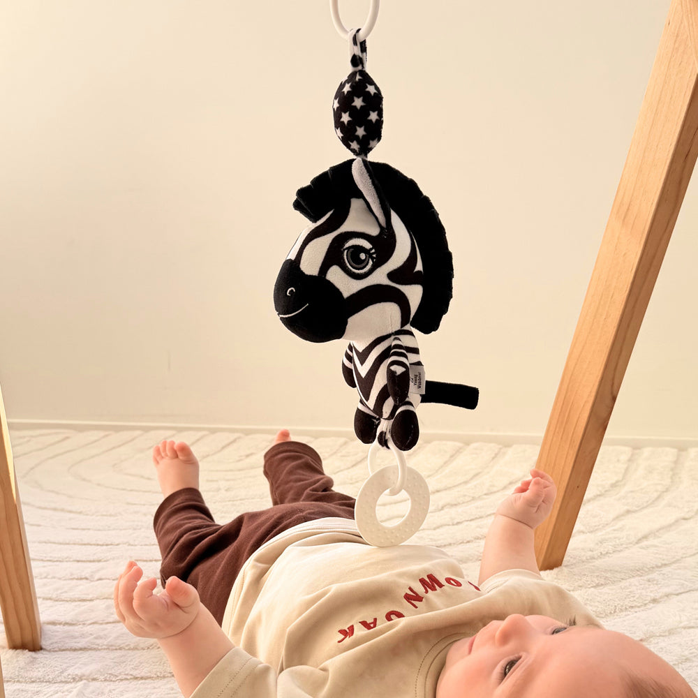 Young Wonderer Ziggy the Zebra Hanging Toy