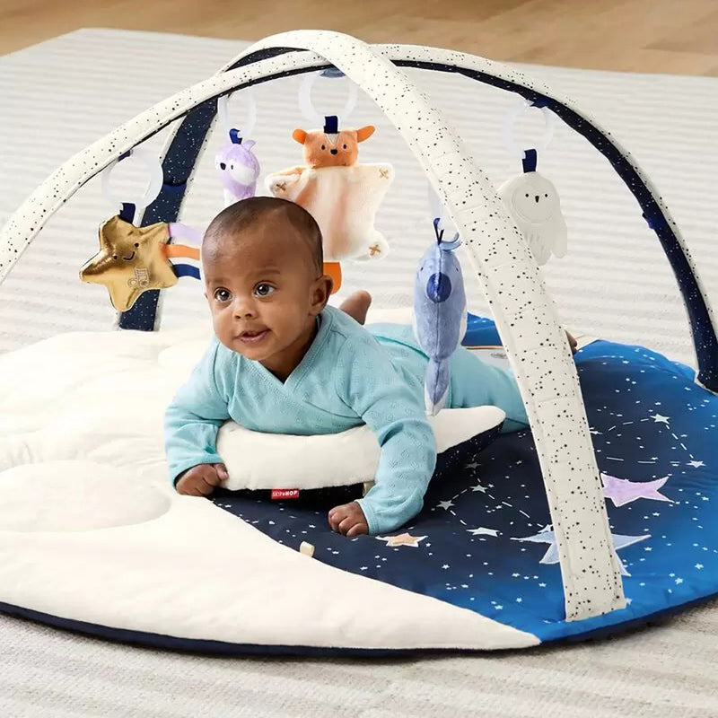 Skip Hop Celestial Dreams Activity Gym